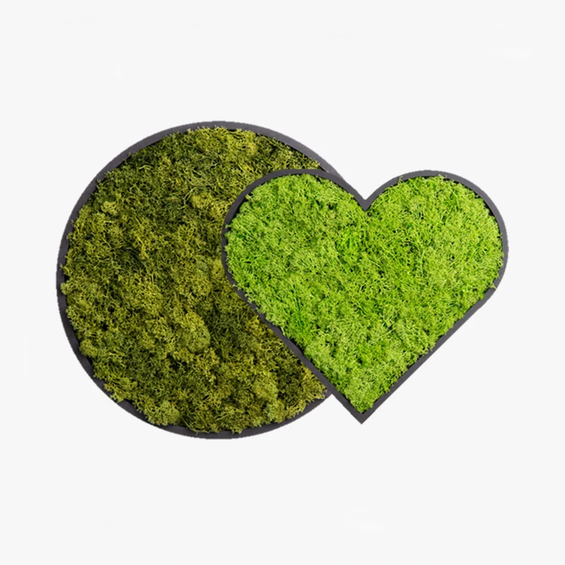 Wandmagie Moosbilder