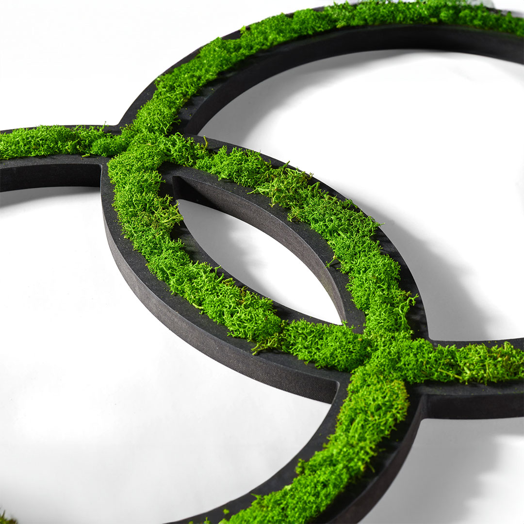 Ringe aus Islandmoos